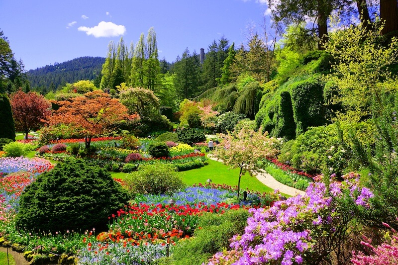 Take Your Dog to Butchart Gardens in Victoria, BC