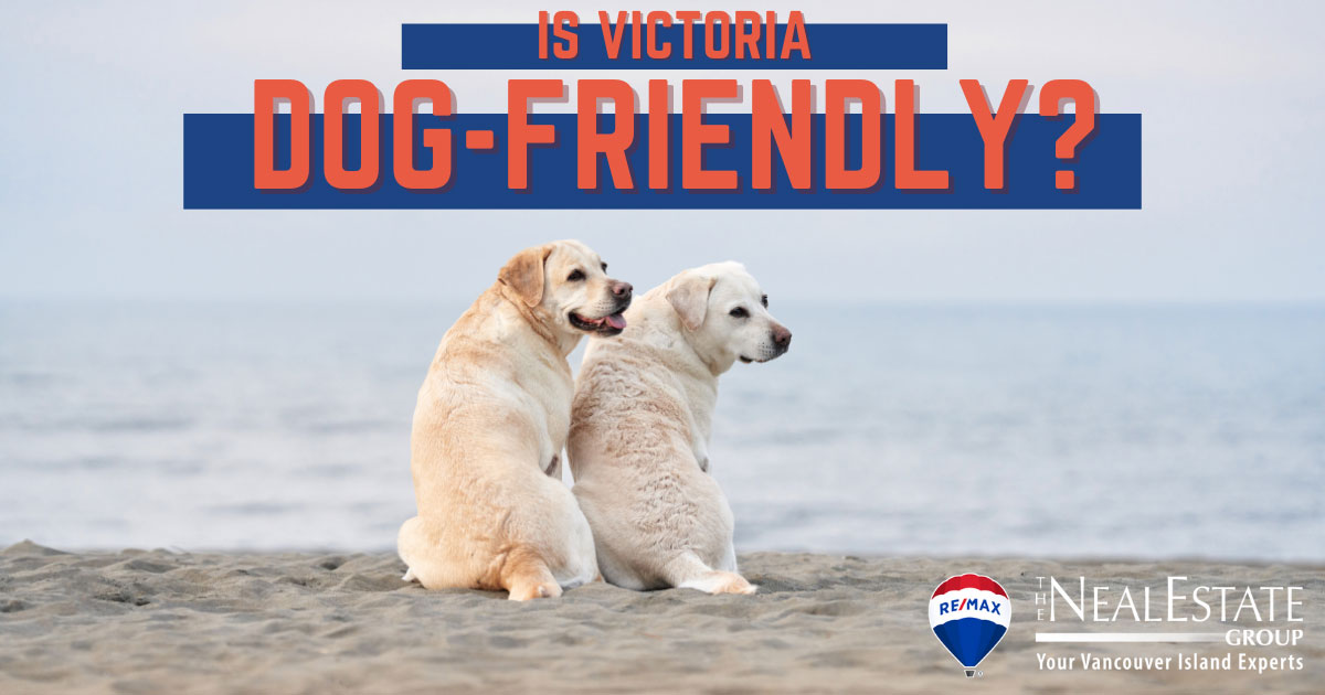 Things to Do With Dogs in Victoria, BC
