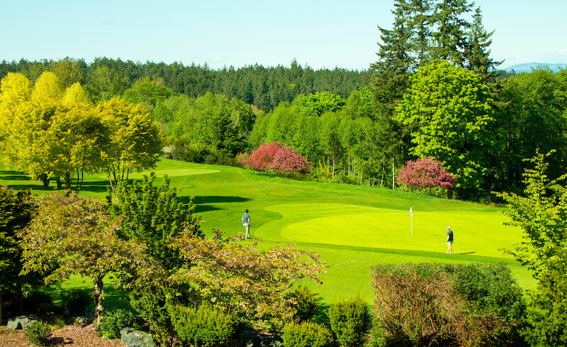 What are the Best Golf Courses Near Victoria, BC?